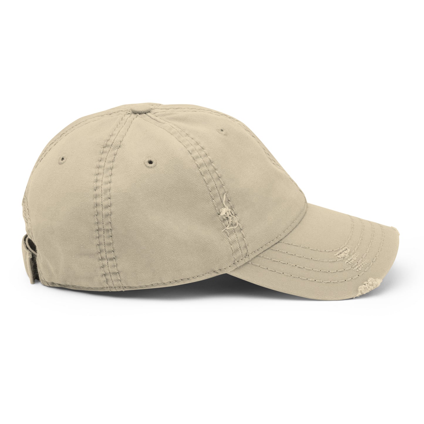 Distressed Tso Signature Dad Hat